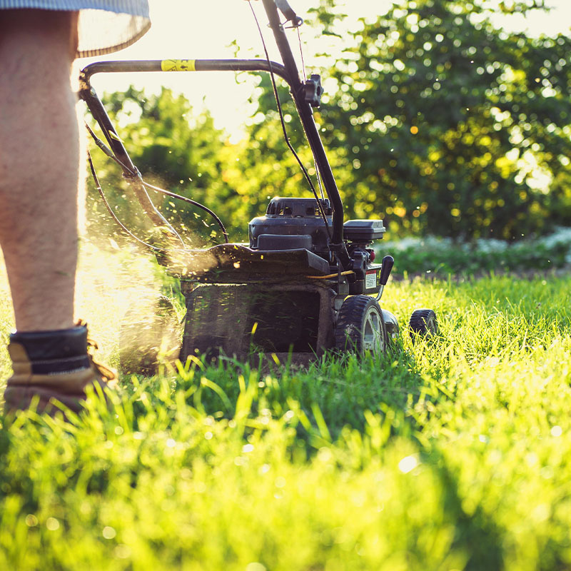 mowing the lawn