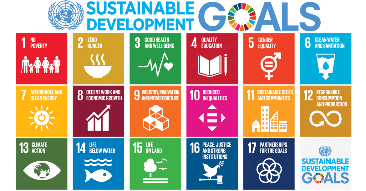 sustainable-development-goals-Ryans-Well-Foundation